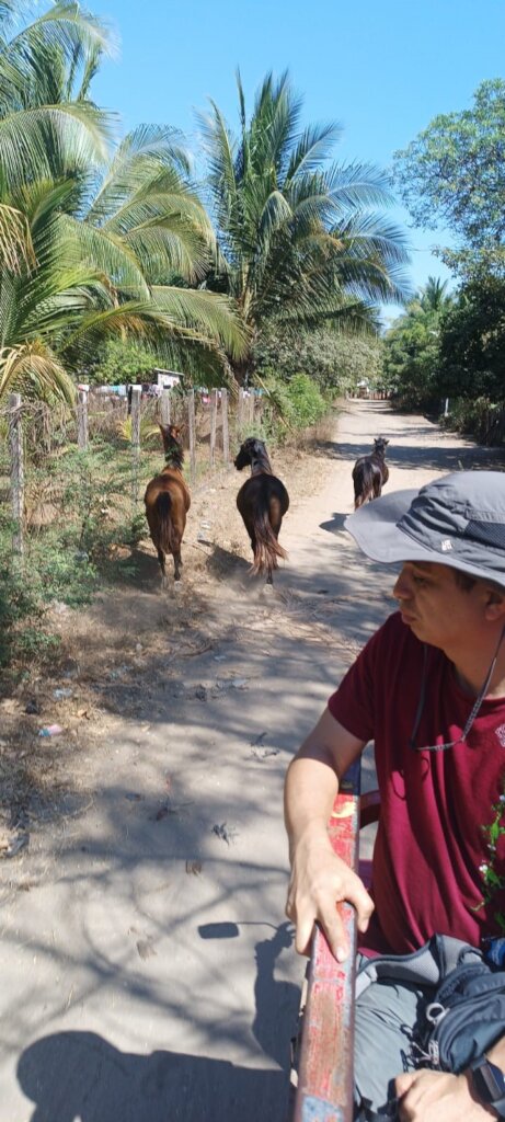 Protecting San Sebastian Island