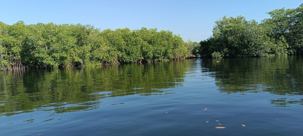 Protecting San Sebastian Island