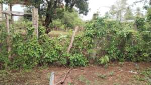 Damage from lack of maintenance