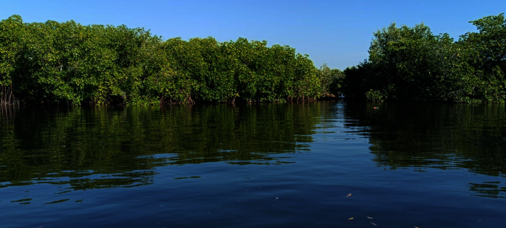 Protecting San Sebastian Island