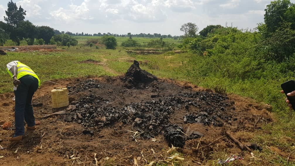 Plant 50,000 Trees In Eastern Uganda