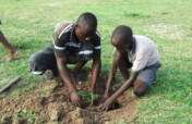 Plant 50,000 Trees In Eastern Uganda