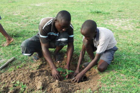 Plant 50,000 Trees In Eastern Uganda