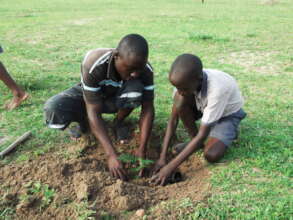 Plant 50,000 Trees In Eastern Uganda