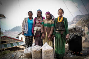 Women working on mushroom farming
