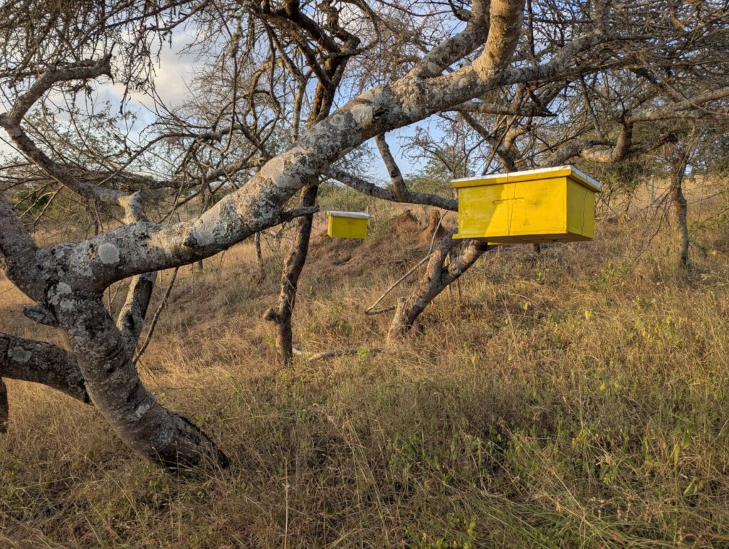 A couple of the 20 brooders installed