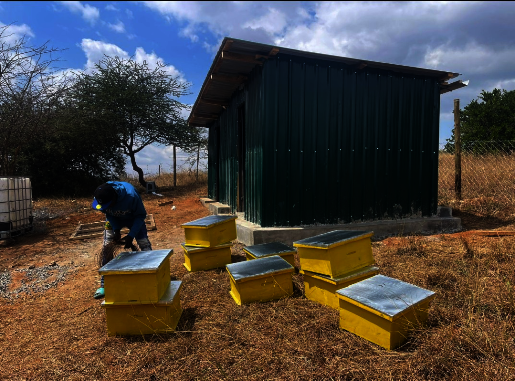 Newly built farm structure at the Eco Village