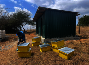 Newly built farm structure at the Eco Village