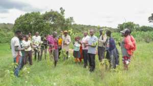 Community Tree Planting Day