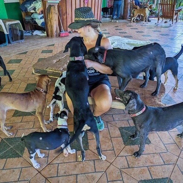 Rescue & Rehome 100s of Street Dogs in Costa Rica