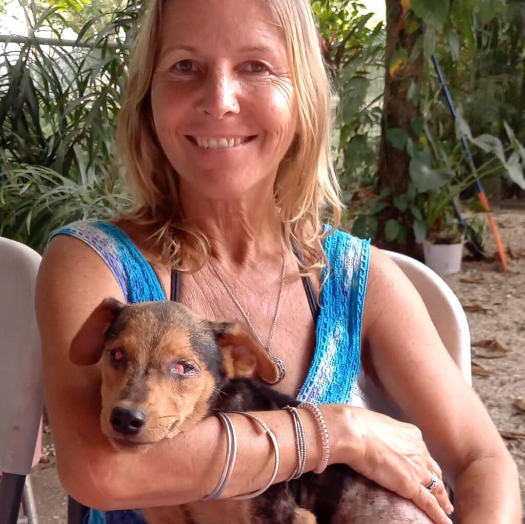 Rescue & Rehome 100s of Street Dogs in Costa Rica