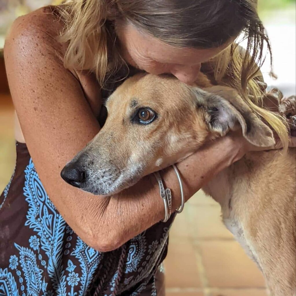 Rescue & Rehome 100s of Street Dogs in Costa Rica