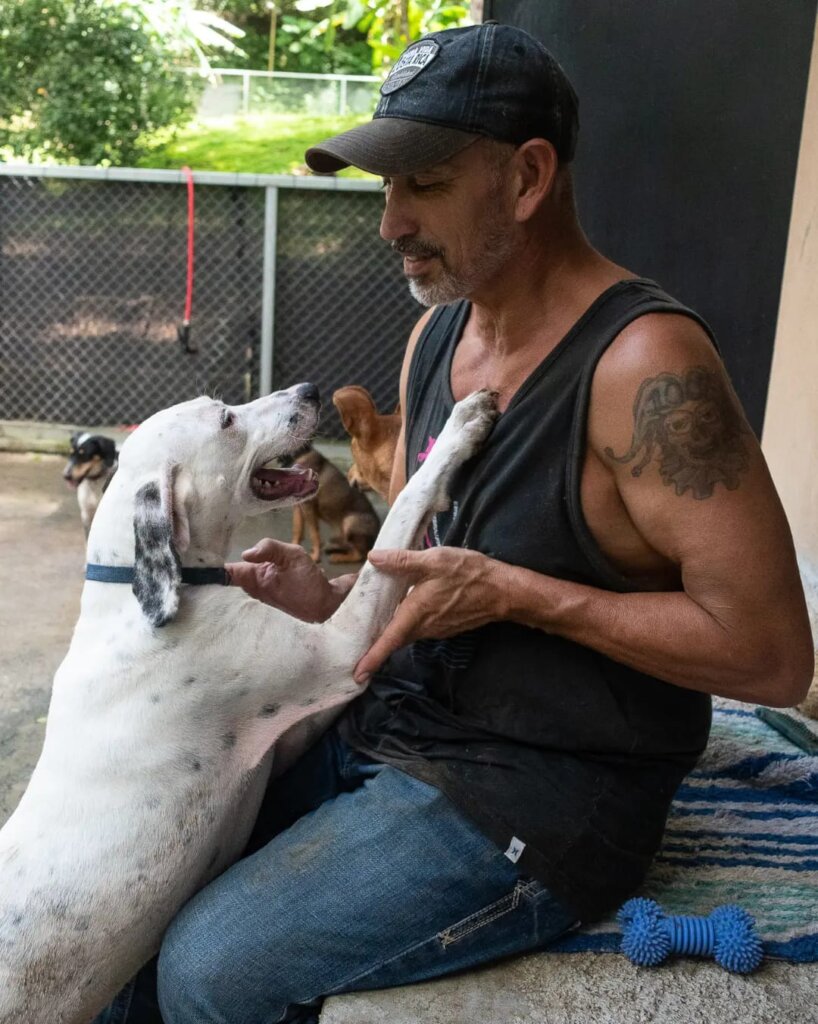 Rescue & Rehome 100s of Street Dogs in Costa Rica