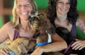 Rescue & Rehome 100s of Street Dogs in Costa Rica