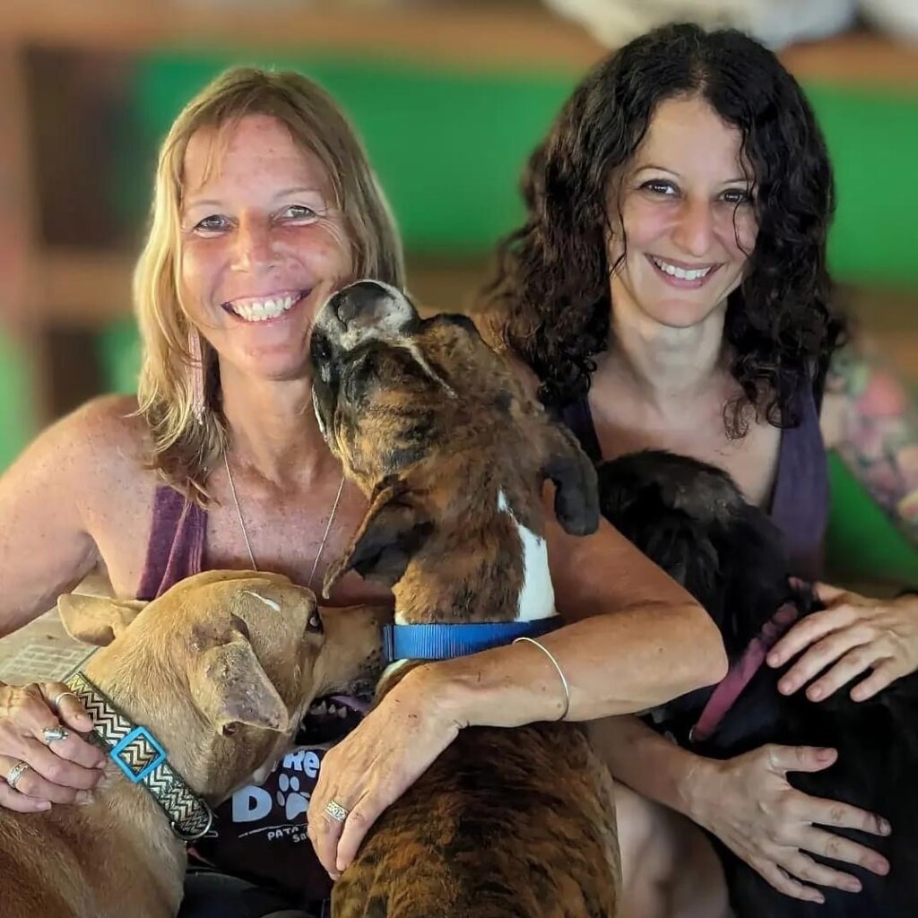 Rescue & Rehome 100s of Street Dogs in Costa Rica