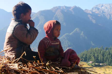 Safe Shelter: Protecting and Empowering Women