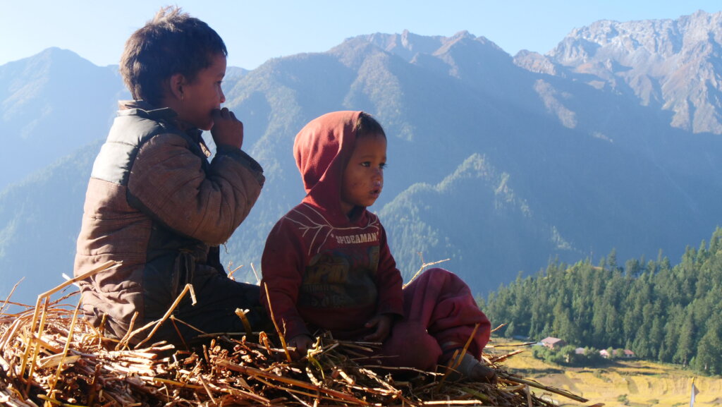 Safe Shelter: Protecting and Empowering Women