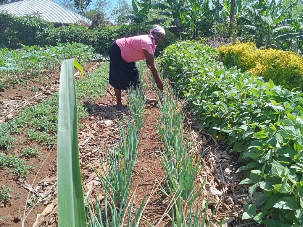 Nyasumi Member's Kitchen Garden