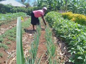 Nyasumi Member's Kitchen Garden