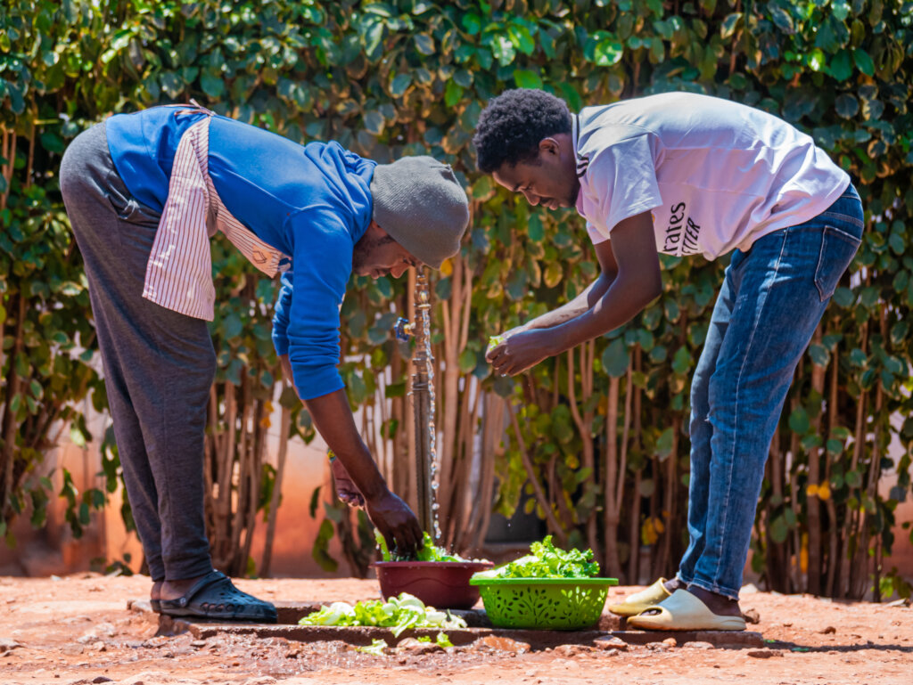 Preparing vegetables for lunch