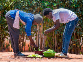 Preparing vegetables for lunch