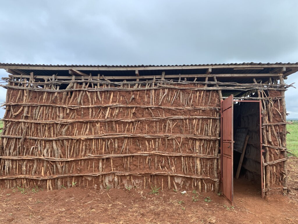 Build a school for 100 Maasai Children in Tanzania