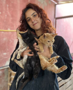 Adopt @ Morocco Animal Aid