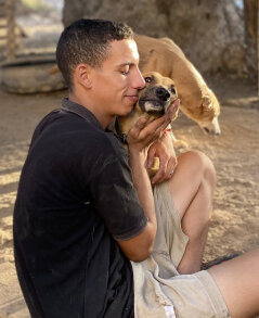 Adopt @ Morocco Animal Aid