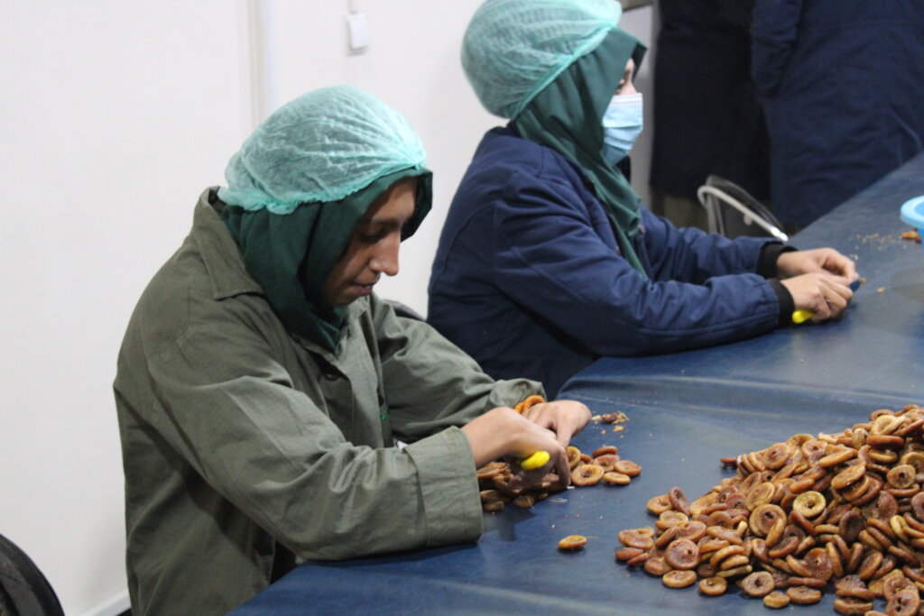 Jobs for Young Afghan Women with Disabilities