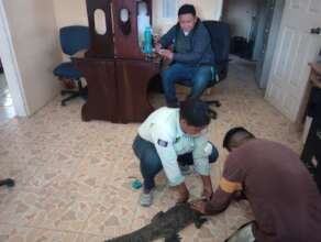 Collecting data with government officials