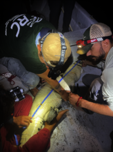 Collecting data on a American croc