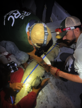 Taking measurements of a croc