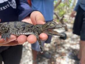 Protect and Restore Aquatic Ecosystems in Belize
