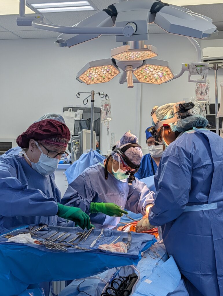 Save 10 little hearts in Nigeria