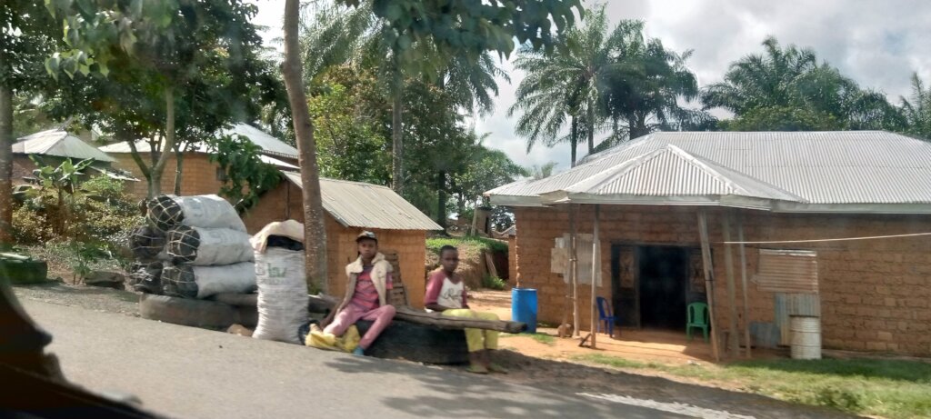 CONVERT CHARCOAL PRODUCERS TO BEEKEEPERS