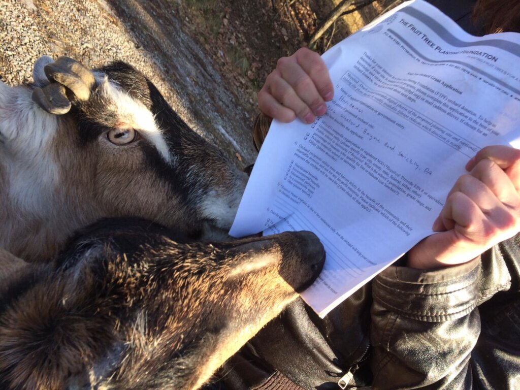 Planting orchards for rescued animals