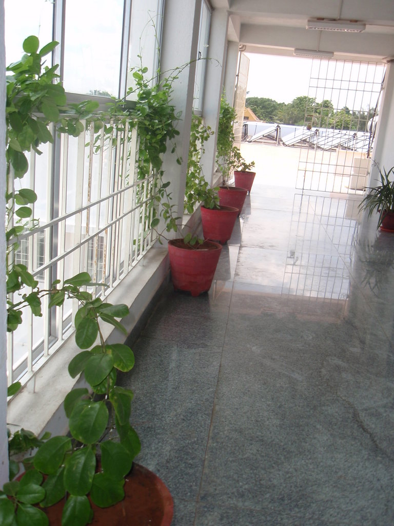 Empower 100 women as food entrepreneurs in India