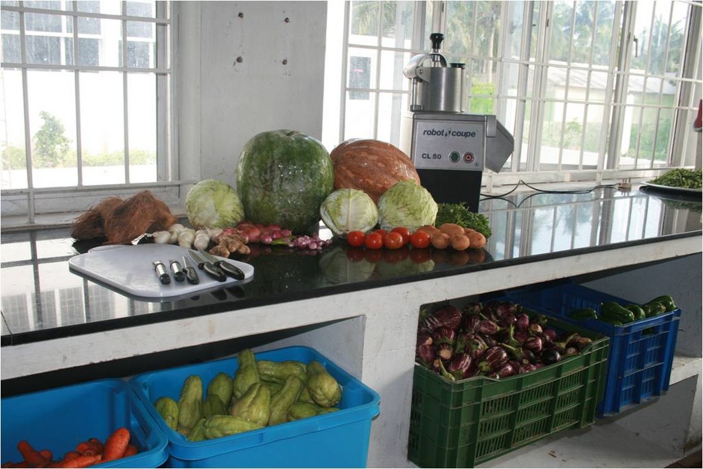 Empower 100 women as food entrepreneurs in India