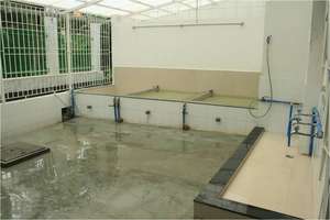The kitchen facility