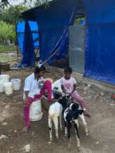 The children helping at Dayspring Farm !