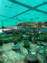 The rooftop garden