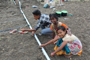 Installing the Drip Irrigation