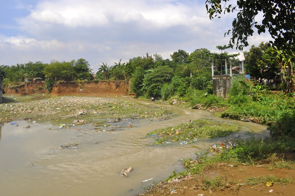 Health Care and Education for Disaster Survivors