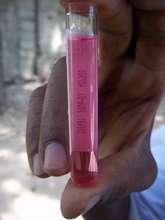 Chlorine Residual Testing