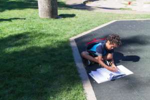 Damon Studies in Summer's Waning Sun