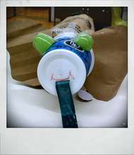Recycled Lion