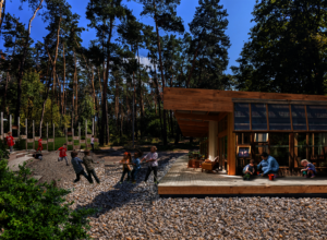 Bucha Forest Classroom Visual
