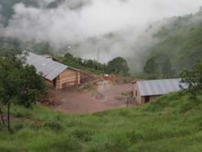 The School
