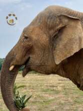 Delhi Says Miam-Miam