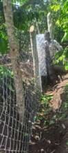 Fence Installation